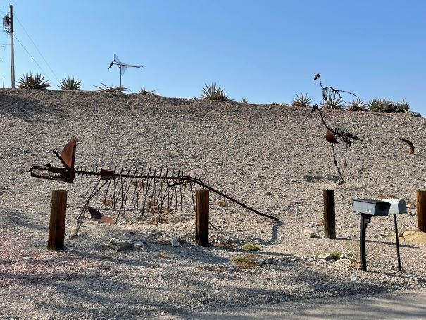 Dinosaur Skeleton Plus Landscaping Lake Havasu AZ