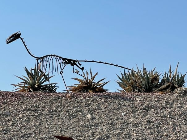 Dinosaur Skeleton Landscaping Lake Havasu AZ