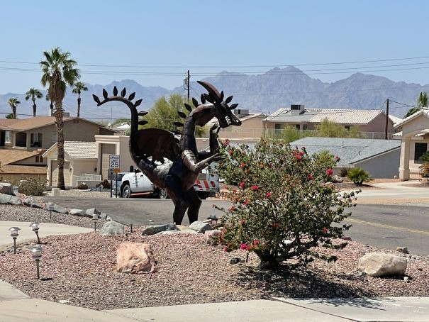 Dinosaur Spikey Landscaping Lake Havasu AZ