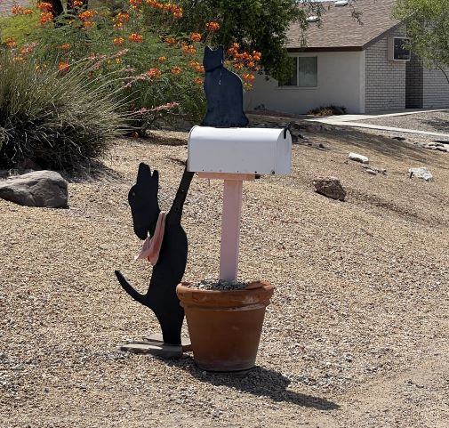 Dog to Cat Mailbox Lake Havasu City AZ