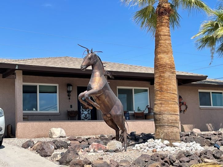 Horse Up Landscaping Lake Havasu AZ