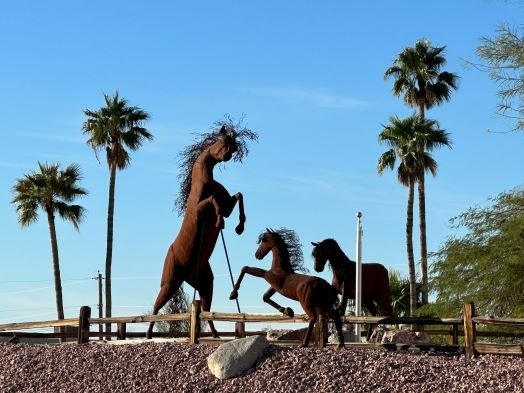 Horses Rearing Landscaping Lake Havasu City AZ