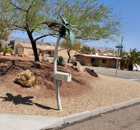 Palm Tree Mailbox Lake Havasu City AZ