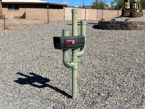Piping Cactus Mailbox Lake Havasu City AZ