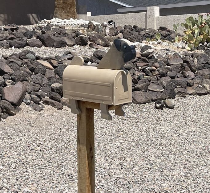 Pug Mailbox Lake Havasu City AZ