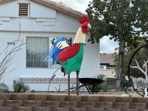 Rooster Landscaping Lake Havasu City AZ