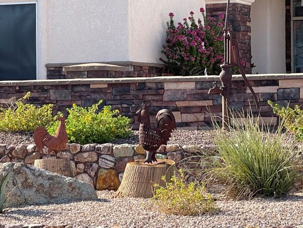 Roosters Water Pump Landscaping Lake Havasu AZ