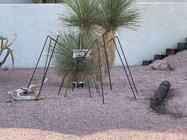 Spider Can Landscaping Lake Havasu AZ