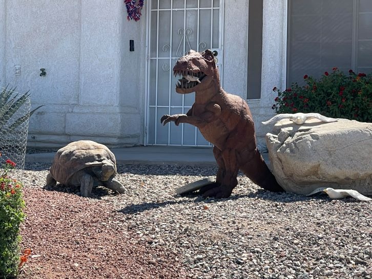 Trex Eat-Rat Turtle Landscaping Lake Havasu AZ