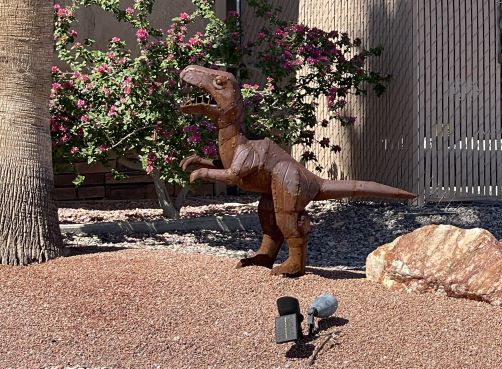 TRex Small Landscaping Lake Havasu AZ