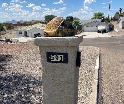 Turtle Mailbox Lake Havasu City AZ