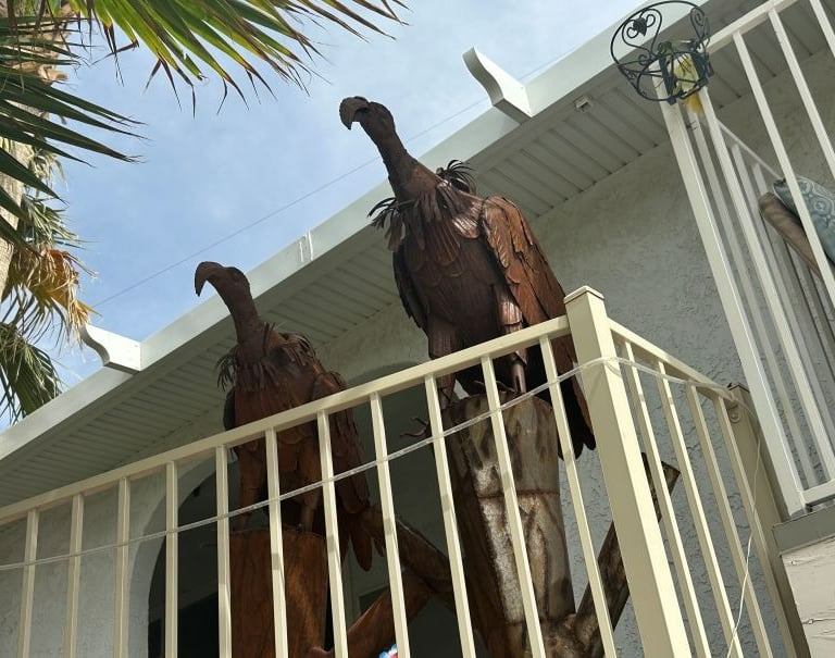 Vultures Landscaping Lake Havasu AZ