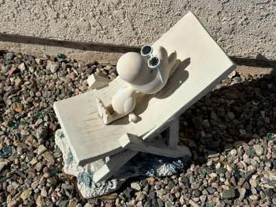 Woodstock Sunbathing Landscaping Lake Havasu City AZ