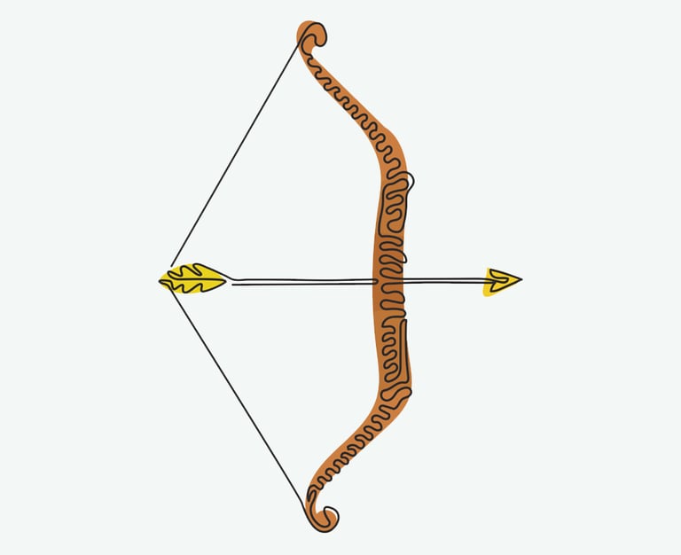 a bow and arrow, choosing the right aim