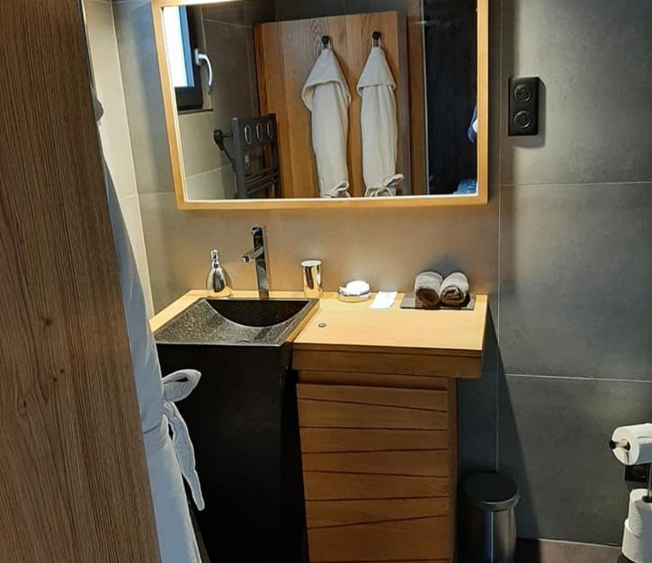 Gîte de luxe avec spa et sauna à Strasbourg - Hôtes et Demeures - Salle de bain demeure 2