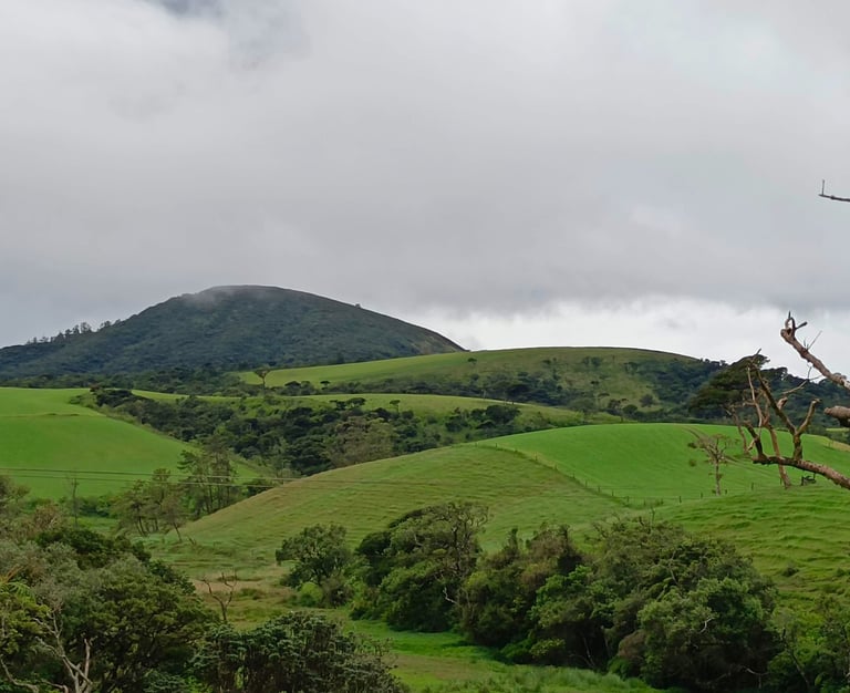Horton plains mountains