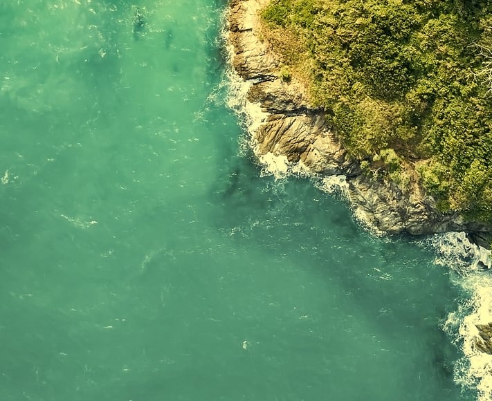 Coastal water appearing green due to algae and dissolved organic matter in sunlight