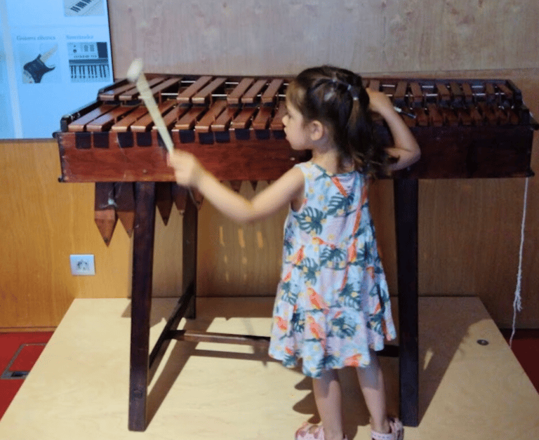 a young girl playing with a musical instrument