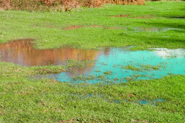 flooded field due to irrigation leak