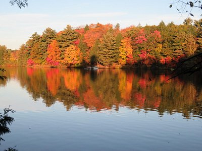 Lake and forested shoreline in autumn.