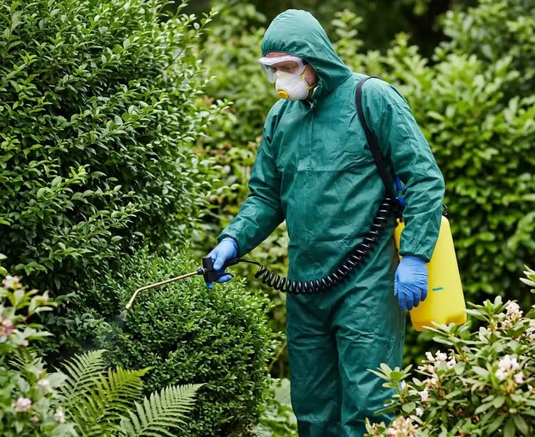 Wasp nest removal expert treating insects in hedge