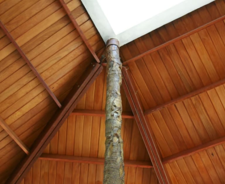 Forro da casa sustentável com ventilação natural no Rio Grande do Norte