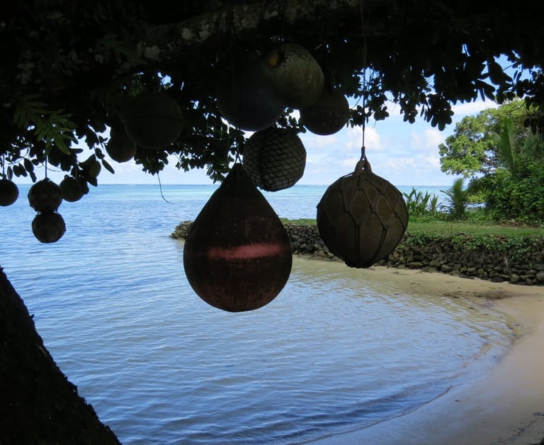 a tree with hanging floats in Palau