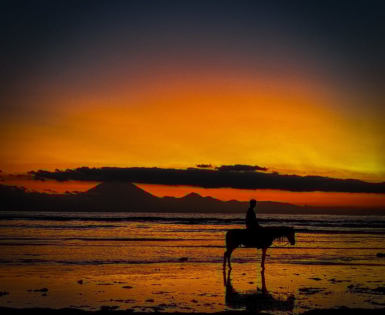 Picturesque paradise beach scene in Gili Trawangan featuring a horse at sunset, offering the best island life.