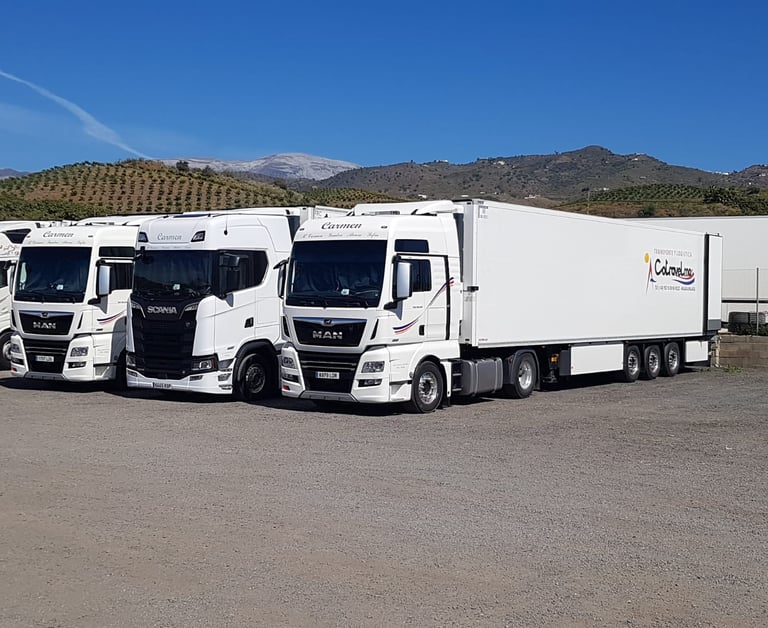 Cotravelma Vélez Málaga