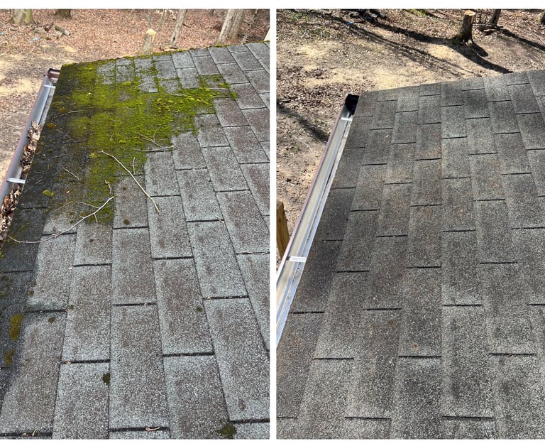 Before and after moss removal from asphalt roof shingles