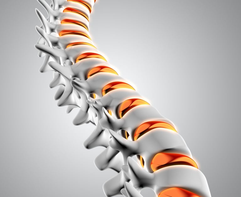 columna vertebral