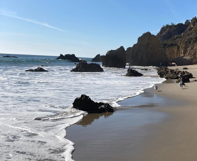 positiv'in coaching de vie psychologie positive objectif changement bonheur résilience