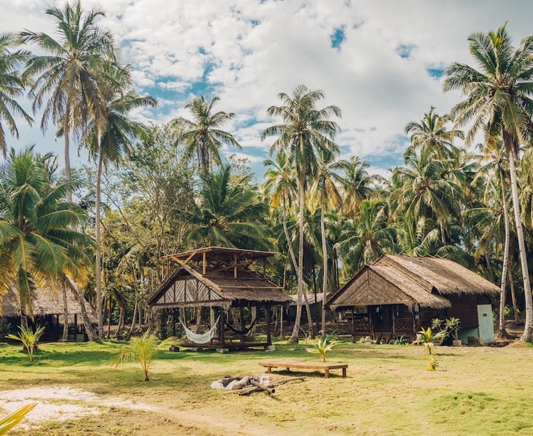 Private beachfront bungalows at Toska eco-resort surrounded by coconut palms
