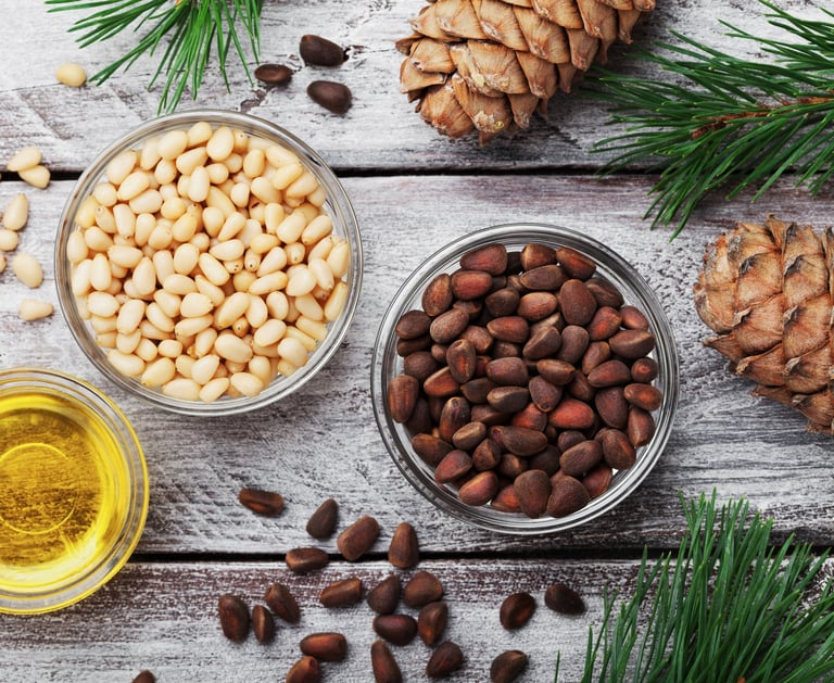 Siberian Pine Nut Oil