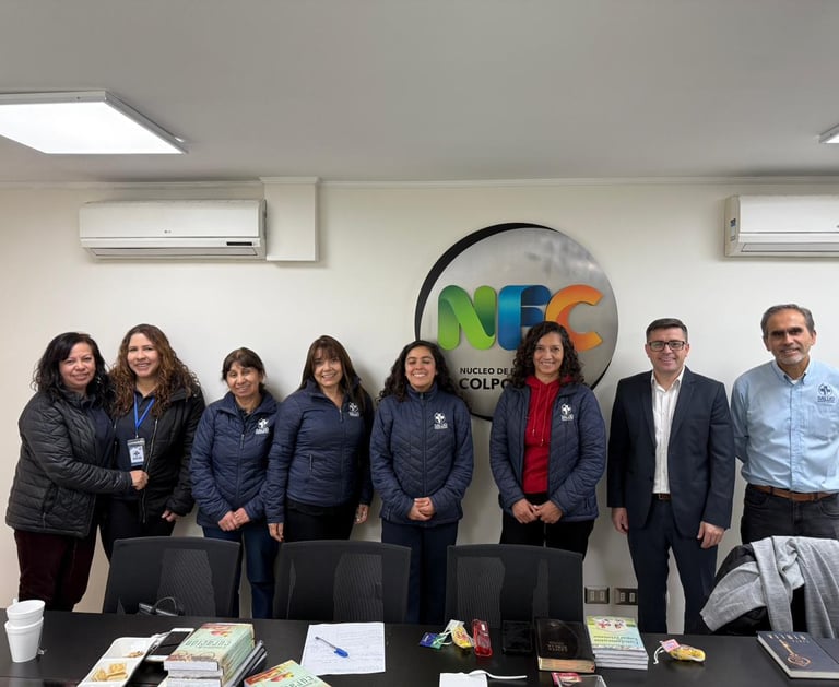 Consultores permanentes del proyecto mas salud