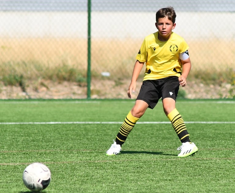 Asimilare - Start Suceava