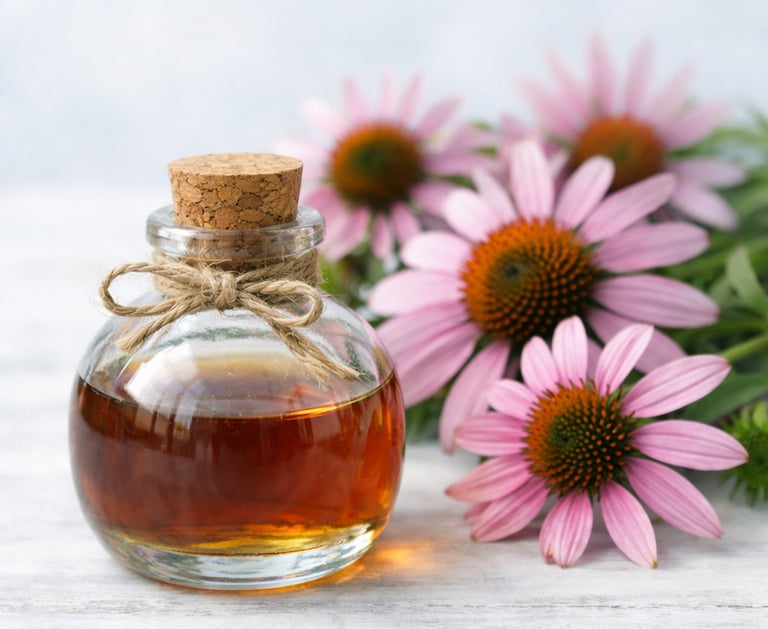 Echinacea Extract