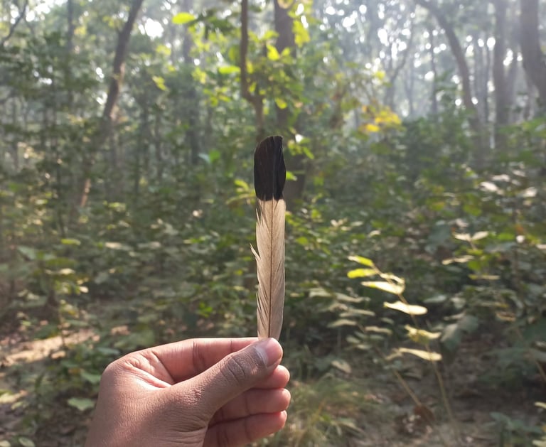 Mansab Sayyad conservation storyteller Bengaluru