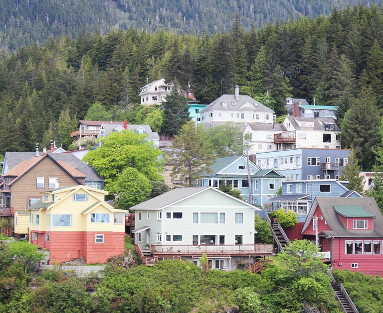 a hillside with houses and trees in the background