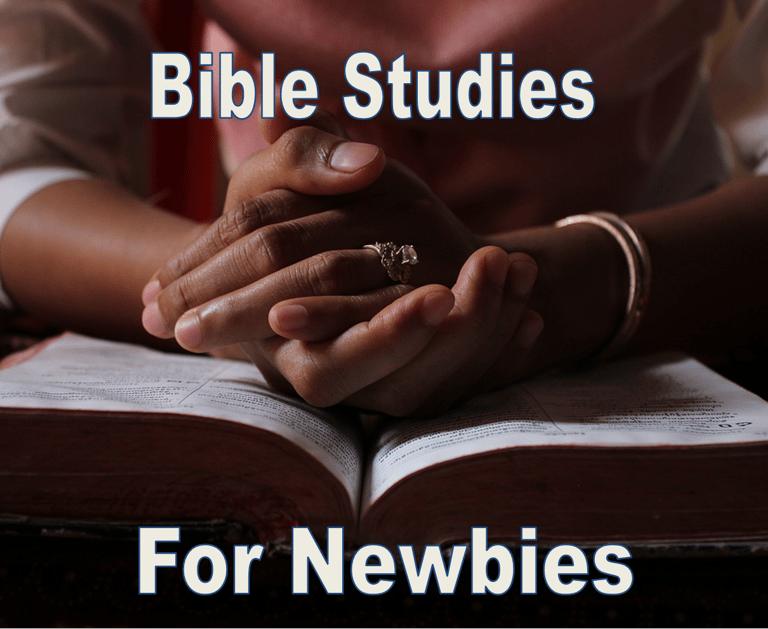 Bible Studies For Newbies - Christian Resource Library