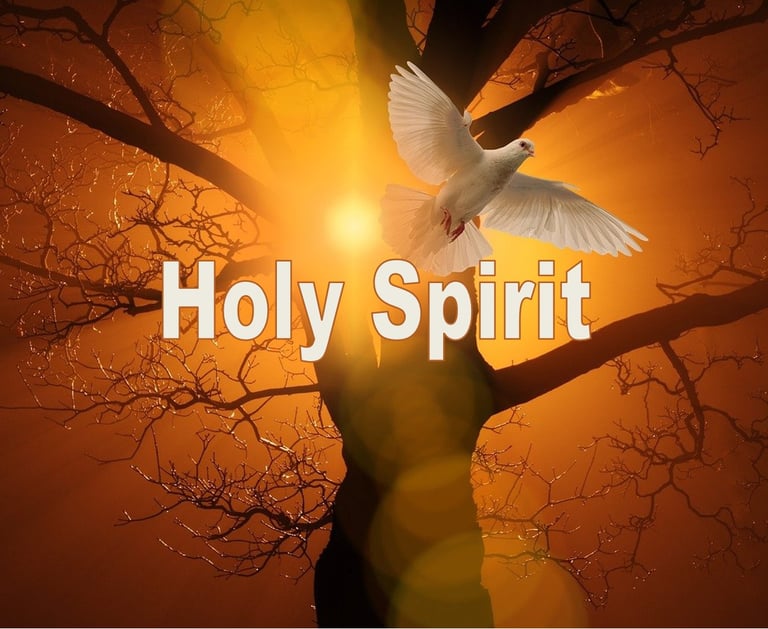 (The) Holy Spirit - Christian Resource Library