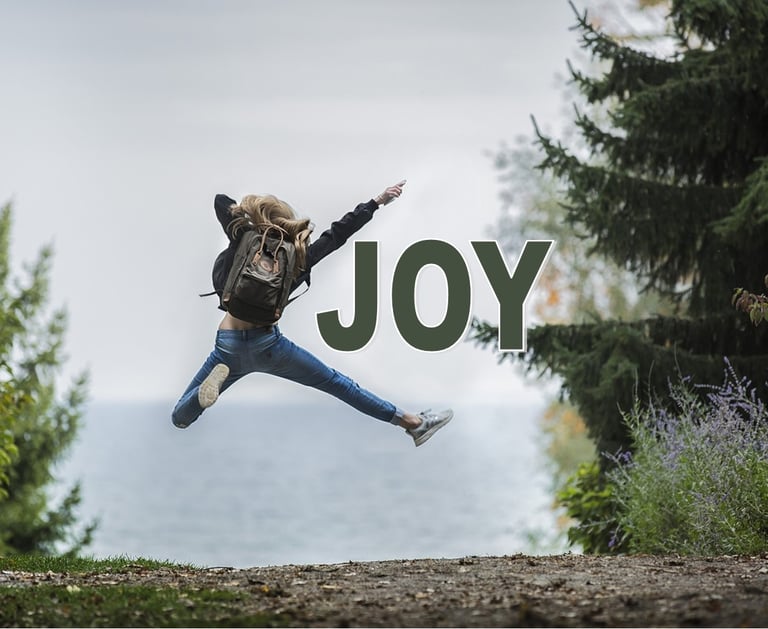 Joy - Christian Resource Library