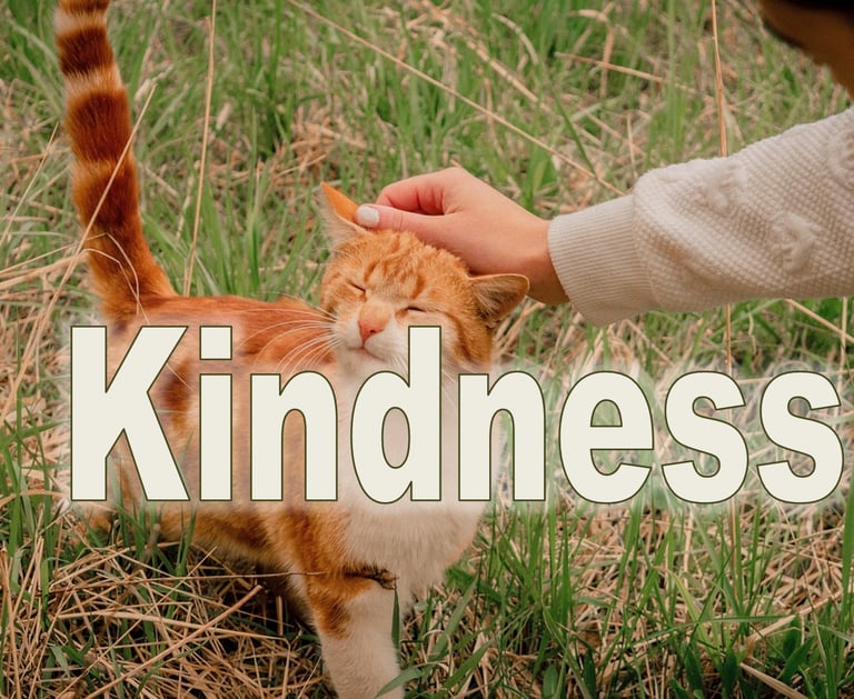 Kindness- Christian Resource Library