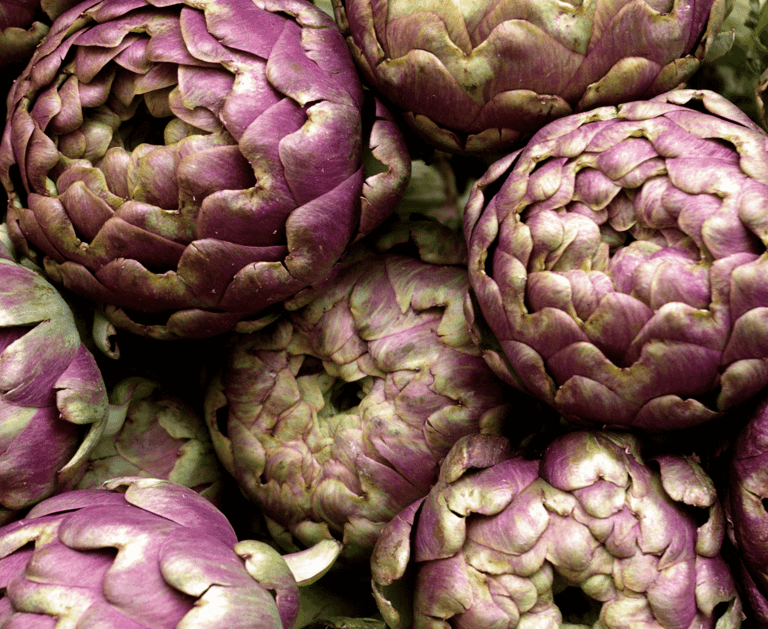 best perennial vegetables to grow artichokes