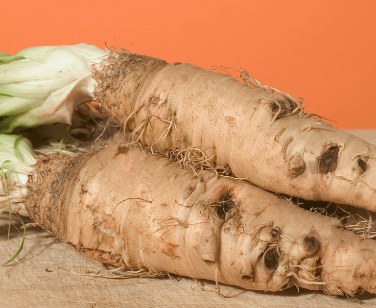 best perennial vegetables to grow salsify