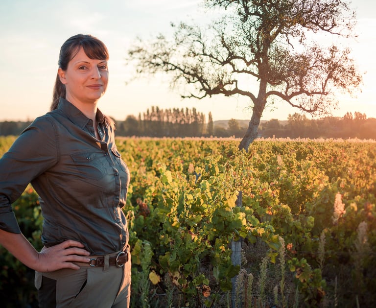 isabelle pangault l'affût