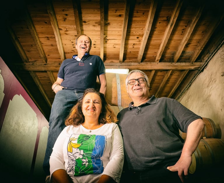 chateau beynat alain tourenne