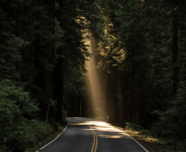 Mi proceso como paciente antes que como terapeuta aportó luz a mi experiencia sobre las emociones.