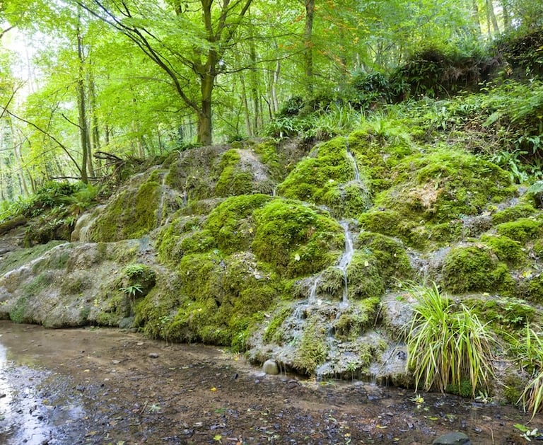 Waterfall and springs
