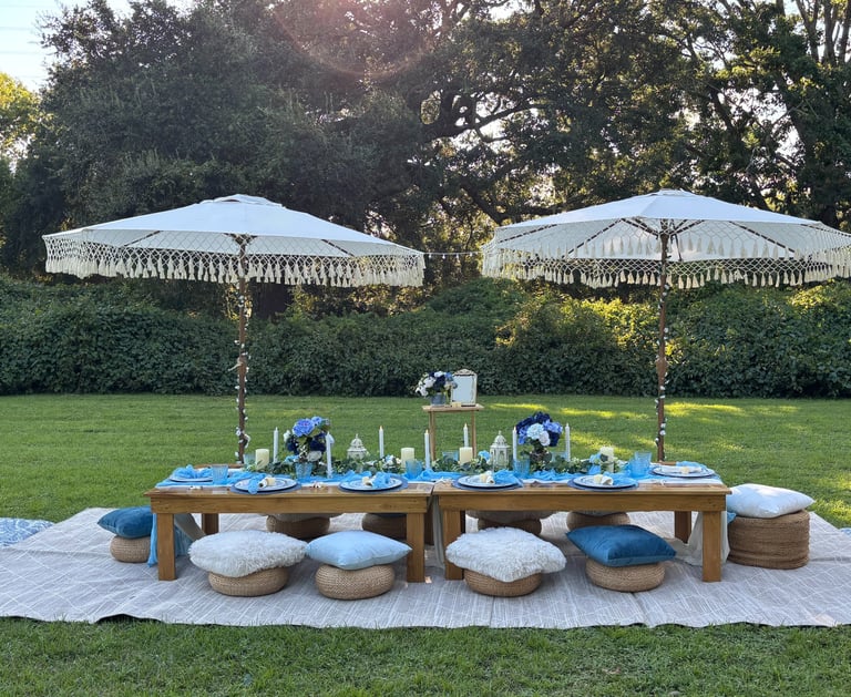 Bachelorette picnic in Hampton Park